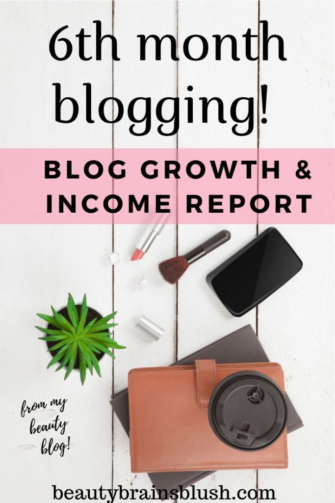 Sixth Month Blog Growth and Income Report - BeautyBrainsBlush