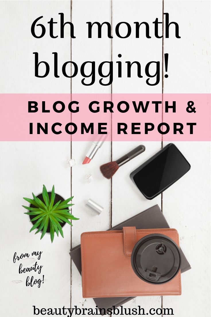 6th Month Blog Growth and Income Report