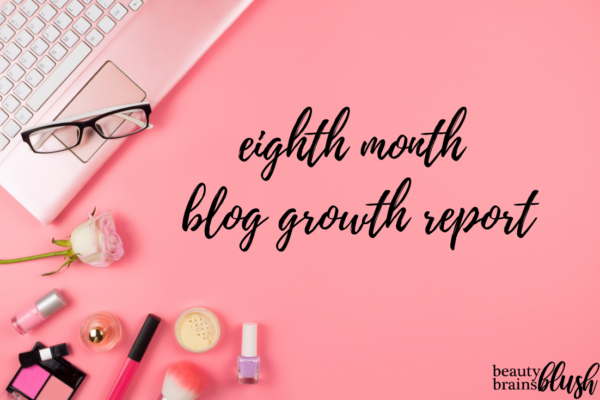 Eleventh Month Blog Growth and Income Report - BeautyBrainsBlush