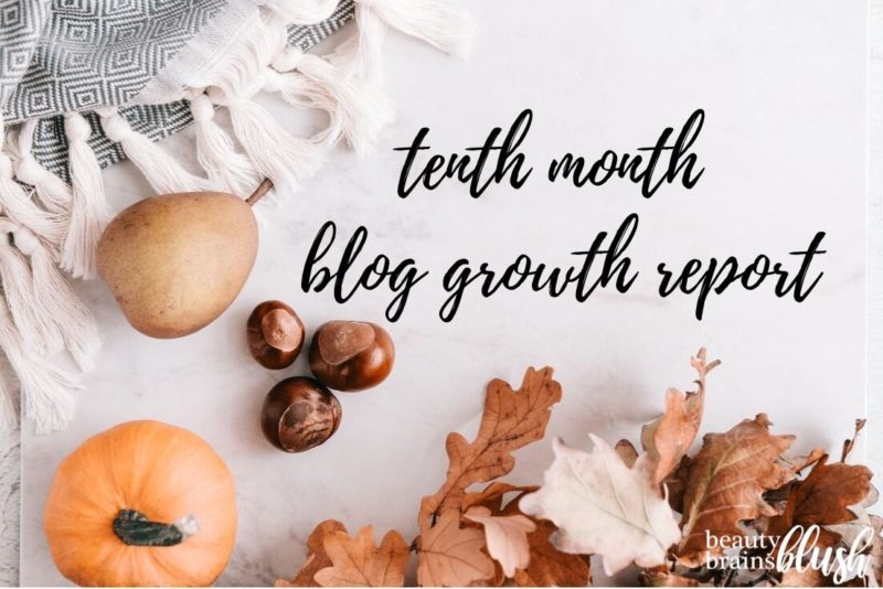 Tenth Month Blog Growth and Income Report - BeautyBrainsBlush