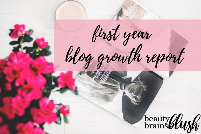 Tenth Month Blog Growth and Income Report - BeautyBrainsBlush